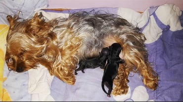 Image 0