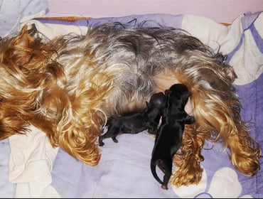 Image 0