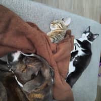 Sitter Profile Image: Jaime W.