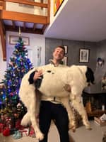 Photo de profil du pet sitter : Charles T.