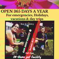 Sitter Profile Image: Rowan R.