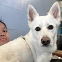 Sitter Profile Image: ChuQing H.