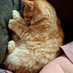 Sitter Profile Image: Jessica K.