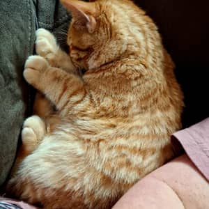 Sitter Profile Image: Jessica K.