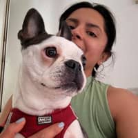 Photo de profil du pet sitter : Angelica D.