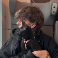 Photo de profil du pet sitter : Sarah P.