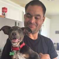 Sitter Profile Image: David S.