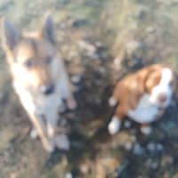 Foto del cuidador: Gonzalo R.