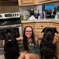 Sitter Profile Image: Allison M.