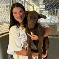 Sitter Profile Image: Paityn P.