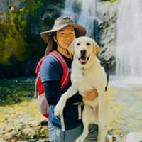 Sitter Profile Image: Richard U.