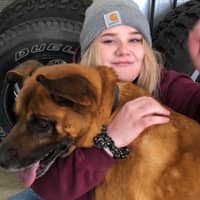 Sitter Profile Image: Rachel B.