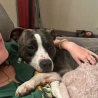 Sitter Profile Image: Rebecca L.