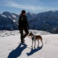 Photo de profil du pet sitter : Mathis B.