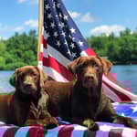 Sitter Profile Image: Audrey O.