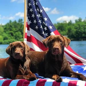 Sitter Profile Image: Audrey O.