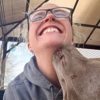 Sitter Profile Image: Katie S.