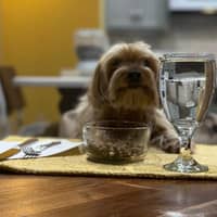 Sitter Profile Image: Kayla & John C.