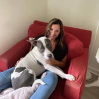 Sitter Profile Image: Amy Y.