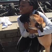 Sitter Profile Image: Erin C.