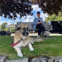 Sitter Profile Image: Jodi C.