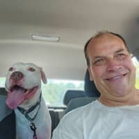 Sitter Profile Image: David H.