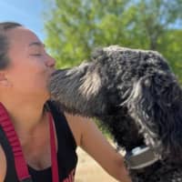 Sitter Profile Image: Sebastian S.