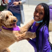 Sitter Profile Image: Rhema H.