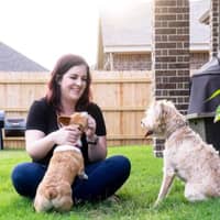 Sitter Profile Image: Laura K.