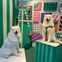 Sitter Profile Image: Eric H.