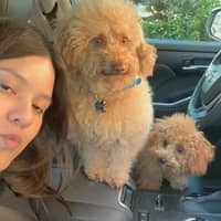 Sitter Profile Image: Nicole S.