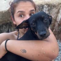 Foto de perfil del cuidador: danitza r.