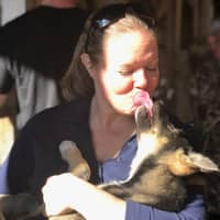 Sitter Profile Image: Laura H.