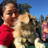 Sitter Profile Image: Lei W.