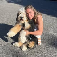 Sitter Profile Image: Sarah D.