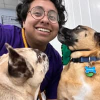 Sitter Profile Image: Koda G.