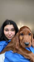 Photo de profil du pet sitter : Casey G.