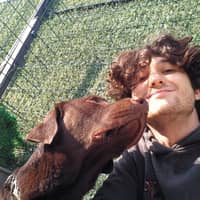 Sitterprofilbild: Enes Ç.