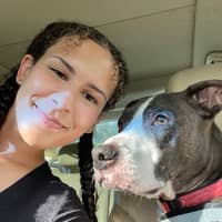 Sitter Profile Image: Orin Rose D.