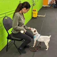 Sitter Profile Image: Stephanie B.