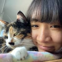 Passarens profilbild: Wing Han C.