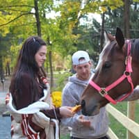 Sitter Profile Image: isabelle s.