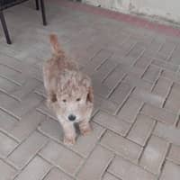 Sitter Profile Image: Emma B.