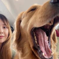 Sitter Profile Image: Ting X.