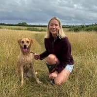 Sitter Profile Image: Neil B.