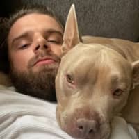 Sitter Profile Image: Adi G.