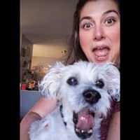 Sitter Profile Image: Sarah J.