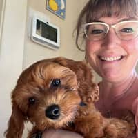 Sitter Profile Image: Hollie S.