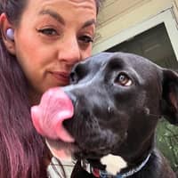 Sitter Profile Image: Stephanie D.