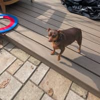 Sitter Profile Image: Daniela M.